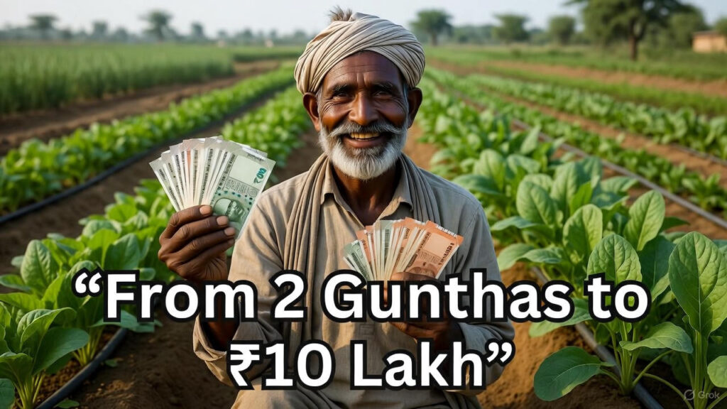 From 2 Gunthas to ₹10 Lakh: How a Gujarat Farmer Built a Drip-Irrigated Vegetable Garden