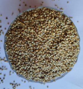 Original Hybrid Bajra Seeds Pearl Millet Hybrid Crop for Cow Milk Boost Bird Food Use and Field Crop Cultivation Pack of 1 KGg