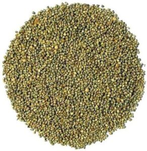 Bajra Seeds for Farming, Millet Crop Variety, Non GMO High Germination Qualety, Grows in All Climates and Soil Types, Pack of 100 g