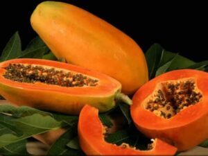 Taiwan red lady 786 f1 hybrid papaya seeds 500 seeds
