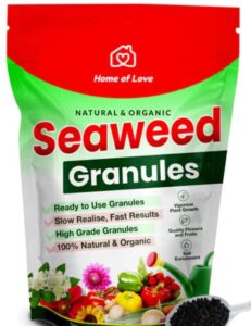 Generic Seaweed Organic Manure For Plant, Plant Growth Promoter & Bio-Stimulant (2 KG)
