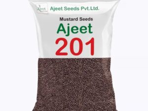 Ajeet 201 Mustard Seed for farming (Agriculture use only) Pack 1kg