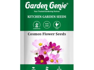 Garden Genie Cosmos Flower Seeds – Mixed Colours (White & Purple) | 1 Packet of 2 Gm | Flowering Plant Seeds for Home Gardening & Planting