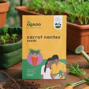 UGAOO Improved Carrot Nantes Vegetable Seeds (Red, Pack of 2g)