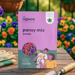 UGAOO Pansy Flower Seeds (Multicolour, Pack of 200)