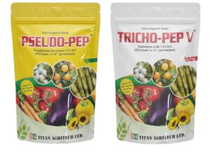 Bio Fungicide Combo Pack | PSEUDO-PEP (Pseudomonas fluorescens 1.0% W.P) + TRICHO-PEP V (Trichoderma viride 1.5% W.P) 2kg