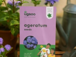 UGAOO Ageratum Flower Seeds (Purple, Pack of 200)