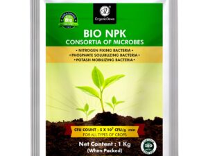 OrganicDews Bio NPK consortia (5×10^7 CFU/g) Bio Inoculum Fertilizer (1 Kg) for Plants – Soil Fertility, Faster Plant Growth and Increases the Yield 1 Kg