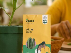 UGAOO Lady Finger or Okra Vegetable Seeds (Green, Pack of 10g)