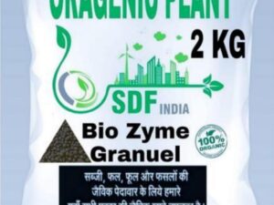 SDF India Bio Organic Zyme Fertilizer Granules 2kg – Natural Plant Growth Promoter with Seaweed, Humic Acid & Amino Acids for Indoor/Outdoor Plants, Vegetables & Crops