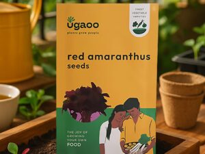 UGAOO Red Amaranthus Vegetable Seeds (Pack of 10g)