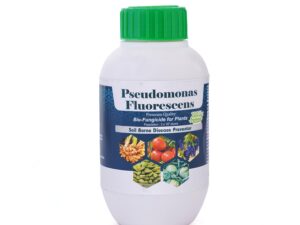 Pseudomonas fluorescens Liquid Bio fertilizer | Plant Growth Promoter & Disease Suppressor | Organic Solution for Soil Health & Root Development (250ML)