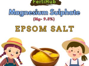 Epsom Salt (Magnesium Sulphate Mg.9.5%) 400 gm Water Soluble Micronutrients For Plants