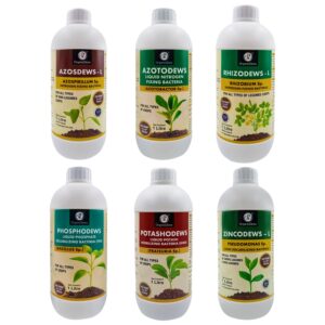 OrganicDews Azospirillum, Azotobacter, Rhizobium, PSB, KMB, Zinc Solublizing Bacteria 1 Litre Bio Fertilizer Combo – Increases Soil Fertility, Plant Growth & Yield