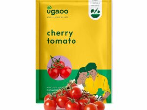 UGAOO Cherry Tomato Vegetable Seeds (Red, Pack of 200mg, 50 Seeds)