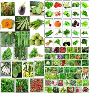 Hybrid vegetable seeds combo pack beez Exotic Hybrid vegetable seeds Mix organic vegetable seeds 50