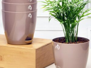 Nurturing Green® Combo of 4 Self Watering Flower Pots for Plants | Plastic Plant Pots | Planter Pots for Home, Indoor Living Room,Garden (Color: Mocha, Size: 11.5cm x 11cm Each)