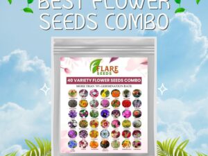 India’s Most popular Flower Seeds Outdoor Combo of 40 Packet of Seeds Garden Flower Seeds Pack Perfect Pack for Home Garden