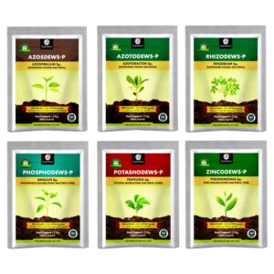 OrganicDews Azospirillum+Azotobacter+Rhizobium+Phosphate Solubilizing+Potash Mobilizing+Zinc Solublizing Bacteria Bio Fertilizer Powder 1 Kg Each COMBO – Increases Soil Fertility, Plant Growth & Yield