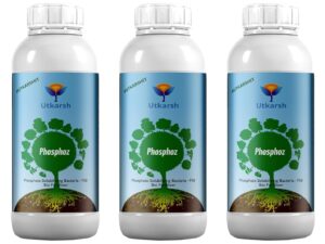 Utkarsh Phosphate Solubilizing Bacteria – PSB, Liquid Bio Fertilizer for Plants Growth, Nutrition, Develops Roots, Increases Flowering & Fruits, Crops | Phosphoz (3 Lit; Pack of 3 of 1 Lit)