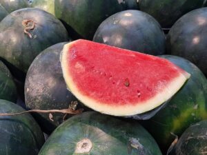 Balck Watermelon Seeds For Farming (170 Seeds)