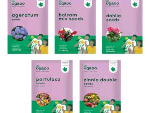 UGAOO Flower Seeds Bundle of 5 Packet (Ageratum, Balsam Mix, Dahlia, Zinnia Double Mix Seeds, Portulaca Mix)