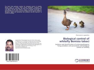Biological control of whitefly Bemisia tabaci: Isolation and identification of entomopathogenic fungi,predators and parasitoids and biological control of whitefly