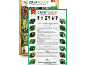 ZINC SOLUBILISING Bacteria (Progress-Z – 1Kg) Bio-Fertilizer, Growth Promoter, Nutrition Supplement, Immunity Builder to Improve Health in Garden Plants, Open & Protected Cultivation Crops