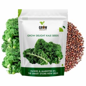 Kale (50 Seeds) Vegetable Seeds for Home Garden, Organic & Hybrid, Perfect for Home Gardening, Planting For Pots and Patio