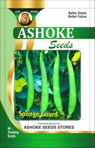 High Yield Gilki Seeds – Perfect for Terrace and Backyard Garden (Pack of 50 seeds)