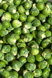 U-GROW INDIA F1 HYBRID BRUSSEL SPROUTS SEEDS (50 SEEDS/PACKET)