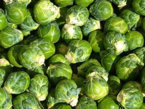 U-GROW INDIA F1 HYBRID BRUSSEL SPROUTS SEEDS (50 SEEDS/PACKET)