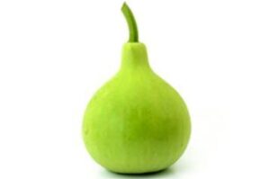 TRICONE Vegetable Seeds | Bottle Gourd Round F1 Hybrid Seeds For Home Gardening (30 seeds pack)