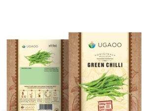 Ugaoo Green Chilli Seeds – 100 g