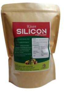 Silicon Fertilizer for All Plants (1 kg) | Natural Water-Soluble Organic Nutrient | Enhances Plant Growth, Strengthens Root System & Improves Soil Health | Ideal for Home Garden & Farming