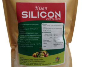Silicon Fertilizer for All Plants (1 kg) | Natural Water-Soluble Organic Nutrient | Enhances Plant Growth, Strengthens Root System & Improves Soil Health | Ideal for Home Garden & Farming