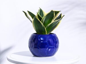 UGAOO Football Ceramic Pot (Blue)