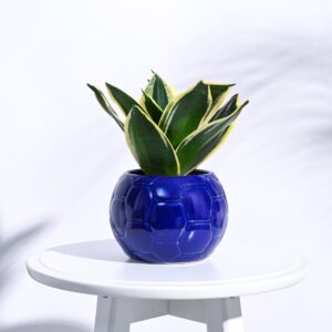 UGAOO Football Ceramic Pot (Blue)