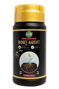 Root Agent | Organic Root Growth Promoter | Natural Plant Root Booster (500 gm) | Enhances Root Formation & Nutrient Uptake | 100% Organic Agricultural Growth Supplement