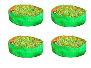 cocogarden HDPE UV Protected Green Round Shaped Grow Bags 15X6 inch (Pack of 4) | Plant Bags for Home Garden | Growing Bags for Terrace Flowers and Vegetables Gardening | Indoor and Balcony Gardening
