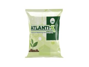 SUNFIELD Atlanti-K Potassium Mobilizing Bacteria Bio Fertilizer, KMB Plant Growth Supplement, Granules and Liquid Form