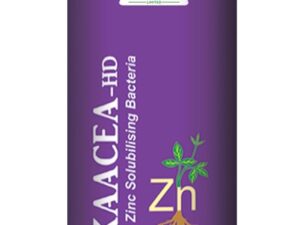 Zinkaacea-HD,Zinc solubilizing bacteria,HD Biofertilizers
