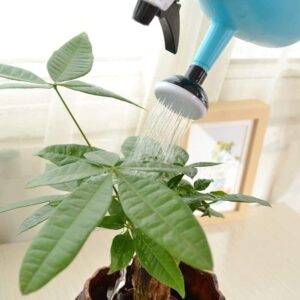 Garden Pump Pressure Sprayer, Lawn Sprinkler, Water Mister, Spray Bottle for Herbicides, Pesticides, Fertilizers, Plants Flowers Random Color.