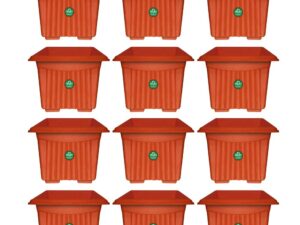 TrustBasket UV Treated Square Plastic Planter (6 inches) – Terracotta Color – Set of 12 | Heavy Duty Highly Durable Plant Container Gamla for Indoor Home Decor & Outdoor Balcony Garden