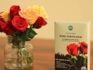 TrustBasket Rose Fertilizer (450gm – Set of 2) | Plant Food for Flowering and All Rose Varieties | Flower Booster Mix | Granulated Food