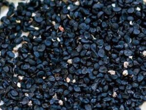 Hybrid F1 White Onion Seeds – 100+ High-Yield Vegetable Seeds for Home Gardening | Perfect for Pots, Grow Bags, and Backyard Planting