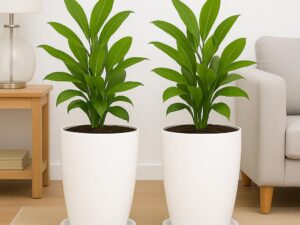 TrustBasket Blossom 12 Inch (Set of 2) Solid White Flower Pot| Lightweight & Durable for Indoor/Outdoor | for Big Size Plants/Flower | Flower Pot for Living Room | Big Planters for Home Decor & Garden