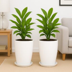 TrustBasket Blossom 12 Inch (Set of 2) Solid White Flower Pot| Lightweight & Durable for Indoor/Outdoor | for Big Size Plants/Flower | Flower Pot for Living Room | Big Planters for Home Decor & Garden