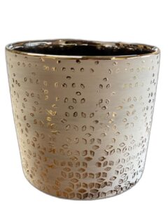 FOX & FERN Premium Ceramic Planter for Vibrant Garden | Enhance The Ambiance of Your Home, Office or Garden (GA133B-024-GS)