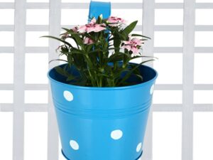 TrustBasket Single Pot Railing Plant with Polka Dots (Pack of 1) – (Blue) Dotted Railing Metal Planters for Balcony and Home Gardening, Indoor, Outdoor